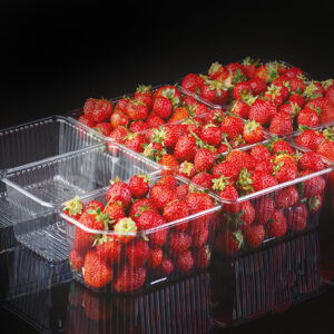 9 GÖZLÜ ÇİLEK ŞALESİ