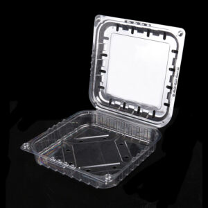 BÖLMESİZ KİRAZ ŞALE