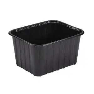 ÇİLEK ŞALE - 1000 GR